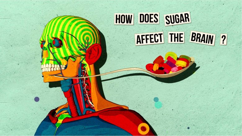 Как сахар влияет на мозг? Ответ даст наука