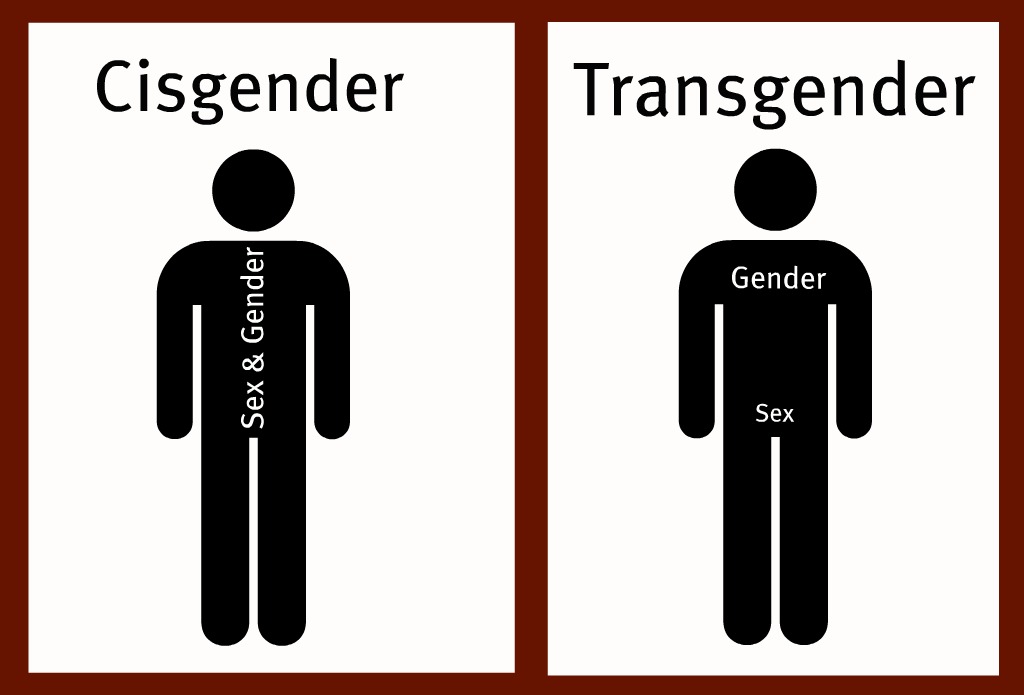 Кто Такой Трансгендер Простым Языком Фото Пояснить