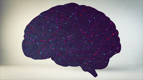 Нейроны специализируются на передаче информации по всему телу.