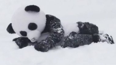Что делать, если ты - счастливый обладатель костюма панды, а на улице снегопад? Конечно же, валяться в сугробах!