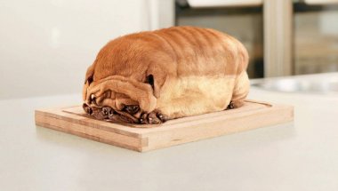 Это хлеб или мопс?