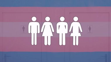 Трансгендеры в гендерно-маркированных  пространствах