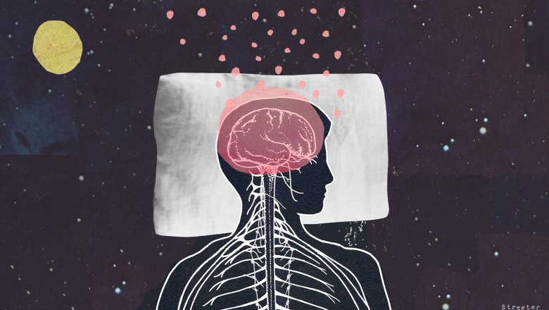 Пока мы спим, наш мозг работает