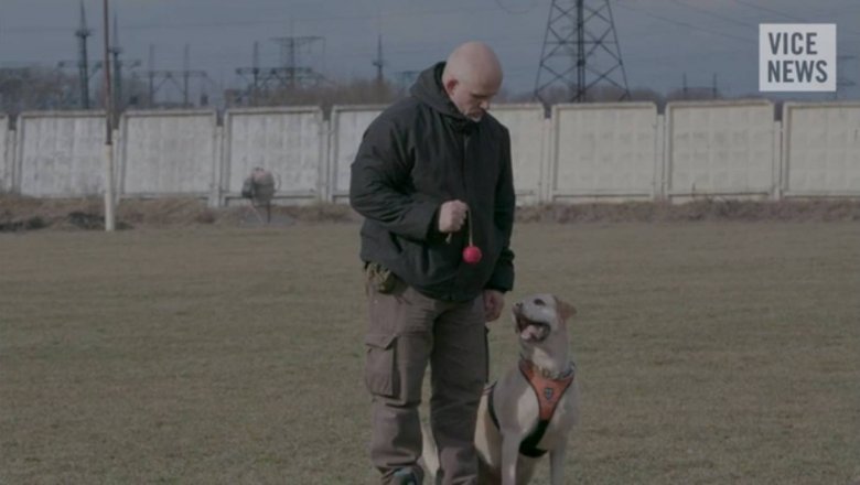 Владимир и его собака Гера
