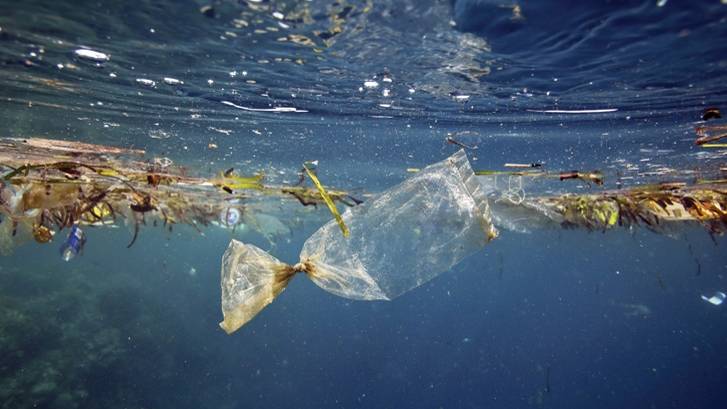 В мировом океане из мусора вырастают целые плавучие острова