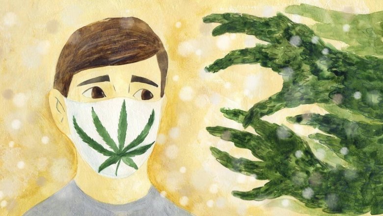 марихуана от аллергии