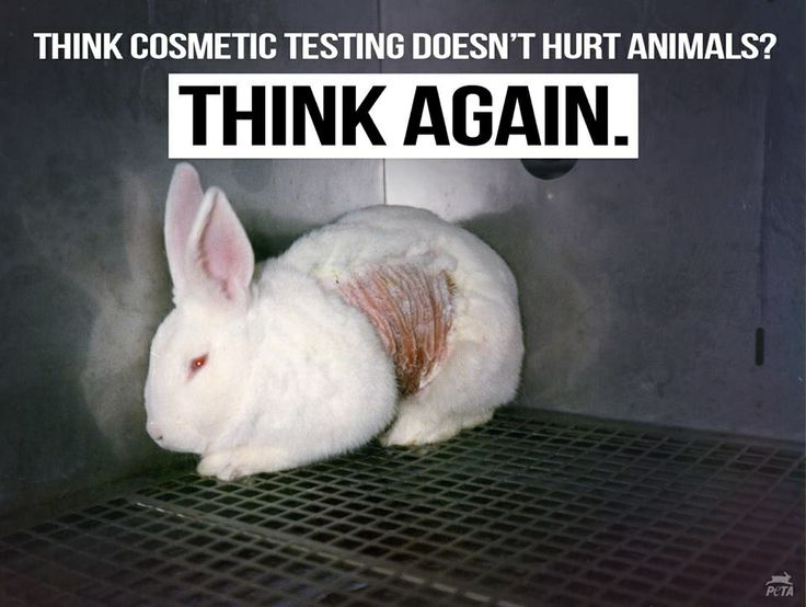 think testing cosmetics does not hurt animal.jpg