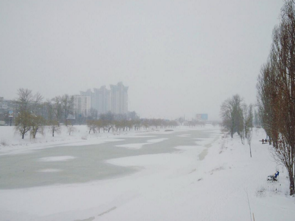 На работу на олянях: Киев замело снегом