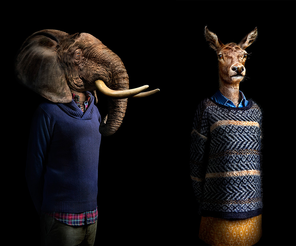 Фотограф создал портреты животных в модной одежде