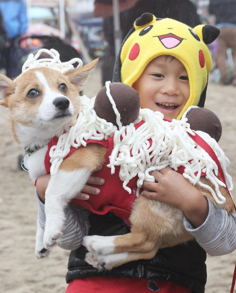 Больше 600 собак резвились на пляже, отмечая день корги