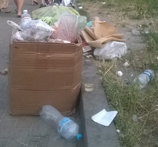 Киеву не хватает урн: столица завалена мусором