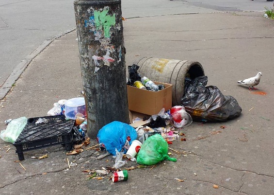 Аgri Birds по-украински: забрасывайте львовский мусор в Киев