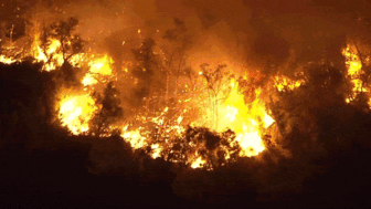 Ла-Палма в огне: как один глупый поступок уничтожил все живое на острове