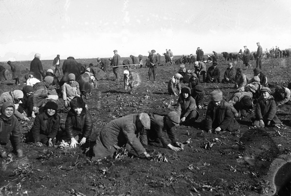 Діти збирають мерзлу картоплю на колгоспному полі с. Удачне Донецької області. 1933 р
