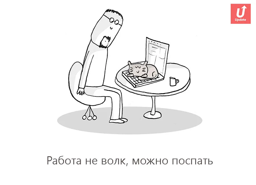 Коты учат жить