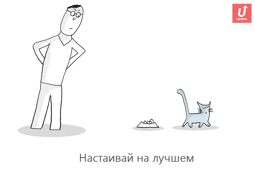 Коты учат жить