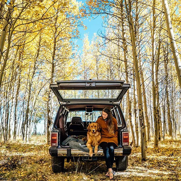 За собакой-хипстером следят 102 тыс. подписчиков Instagram