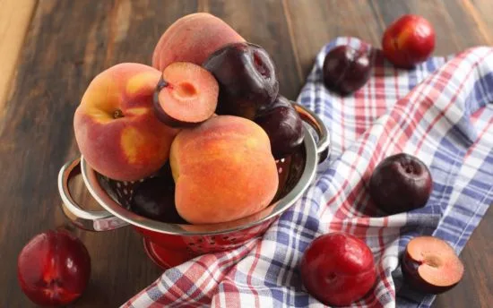 10 продуктов, которые спасут от рака груди