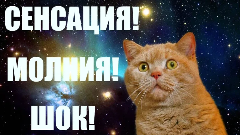 Все самое вкусное в одном тексте