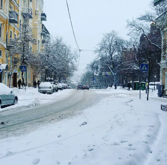 На работу на олянях: Киев замело снегом