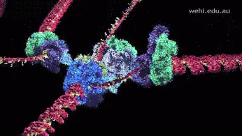 Ученая из Caltech стала первой женщиной, получившей премию Millenium Technology Prize
