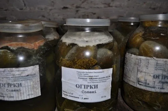 Без света, вентиляции и воды: женщин в исправительной колонии содержат в ужасающих условиях