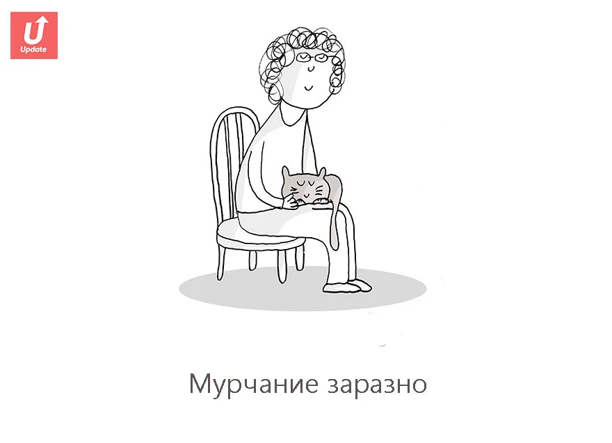 Коты учат жить