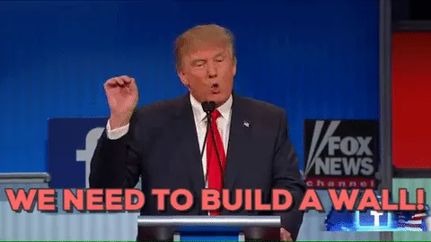 Женщины, мигранты и ЛГБТ: о ком беспокоятся СМИ после избрания Трампа