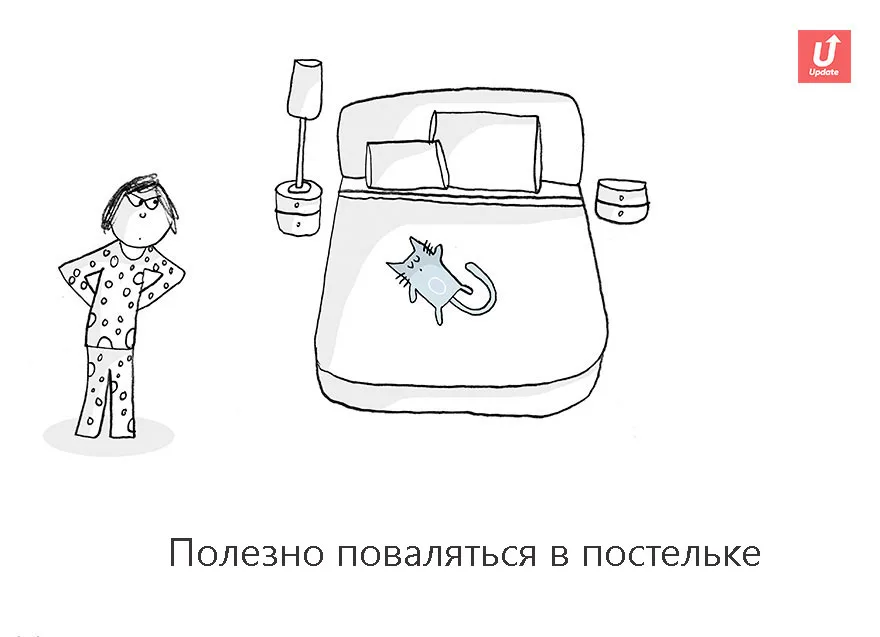 Коты учат жить
