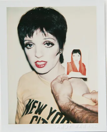 Лиза Минелли, 1977