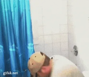 аа