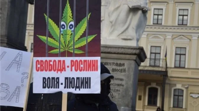 За незначительное количество достаточно административного штрафа