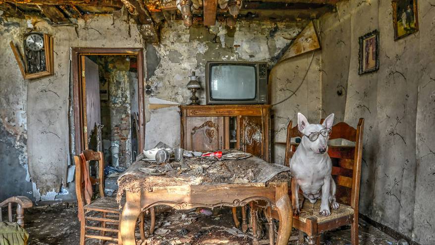 Клэр позирует в одном из старинных интерьеров
