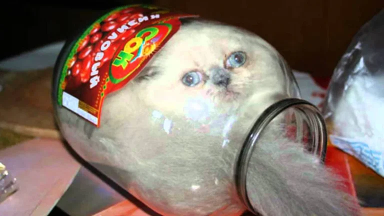Вот это умора.