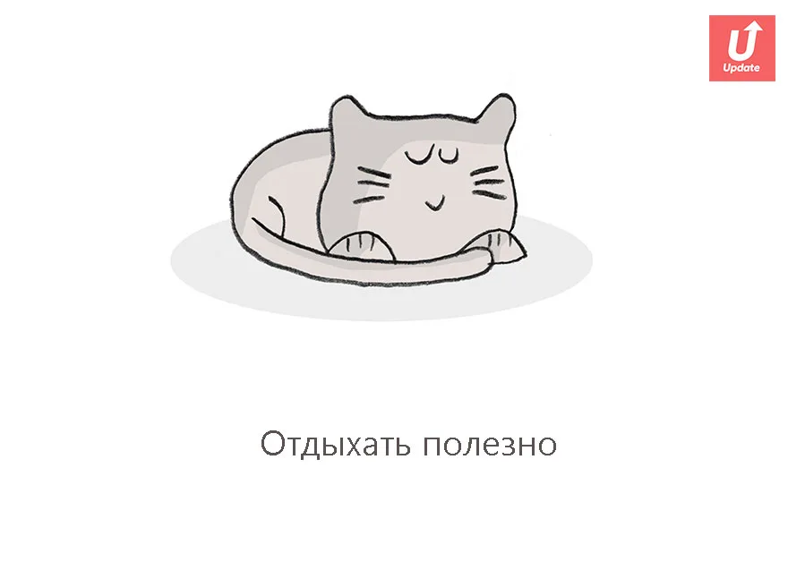 Коты учат жить