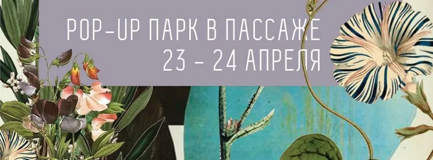 Столичный Пассаж превратится в зеленый оазис