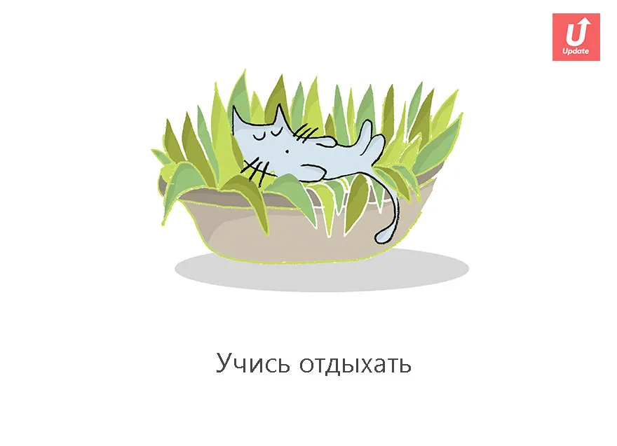 Коты учат жить