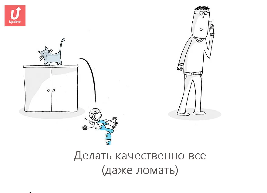 Коты учат жить