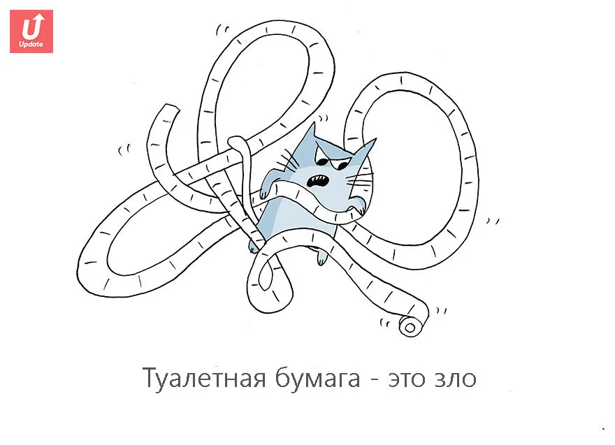 Коты учат жить