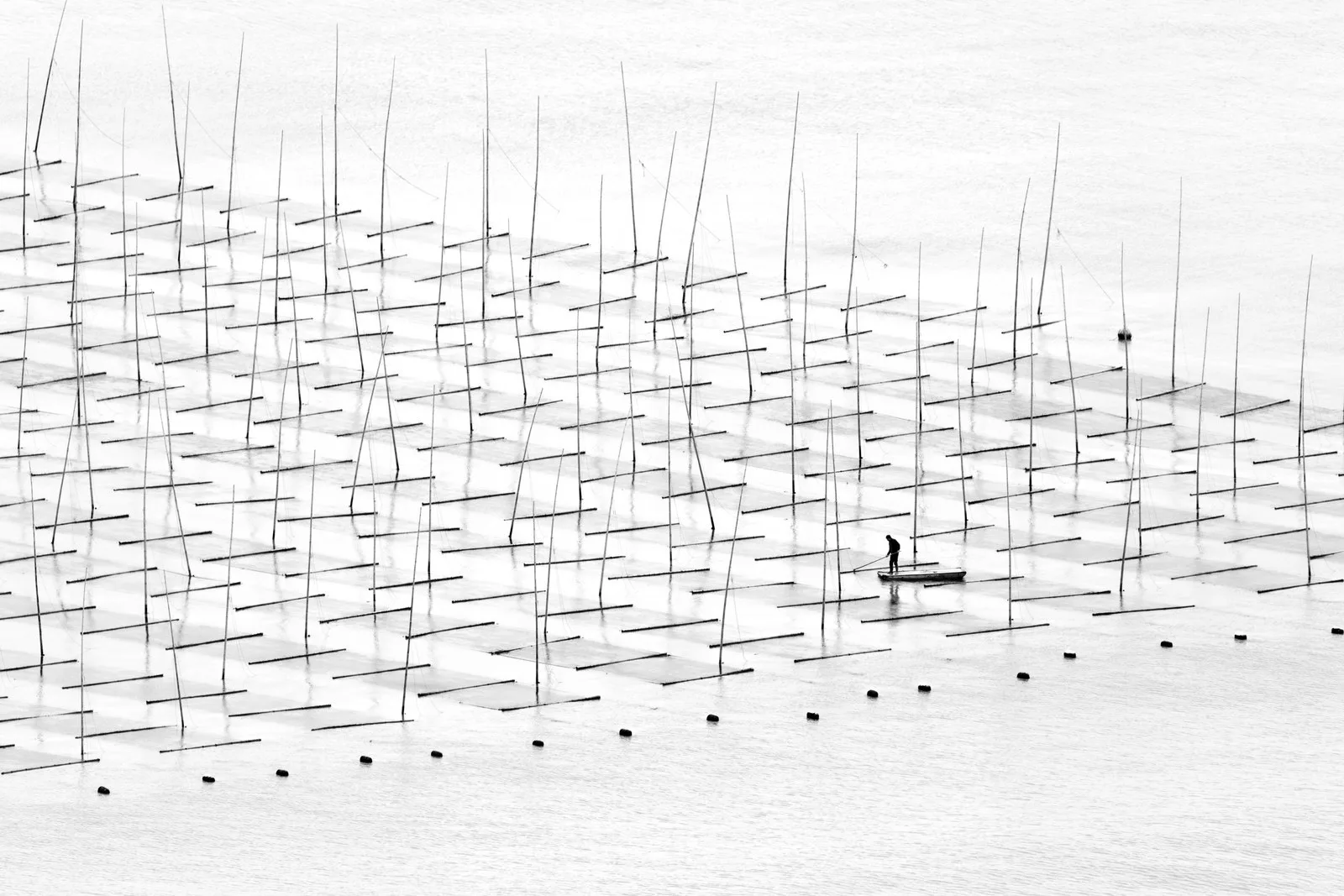Мускулистые мужчины и буддийская академия: шорт-лист Sony World Photography Awards