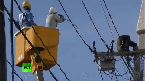 Обезьяна сошла с ума и пыталась сбежать из зоопарка