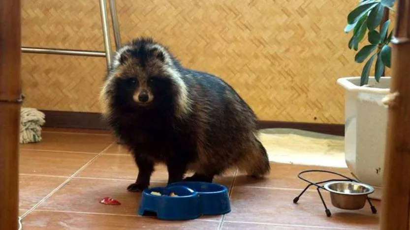 Не оставайтесь равнодушными.