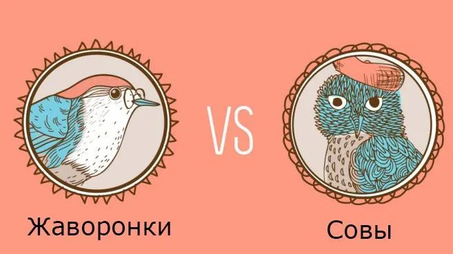 Кто вы, совы?