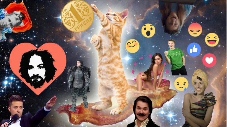Котик любит новости