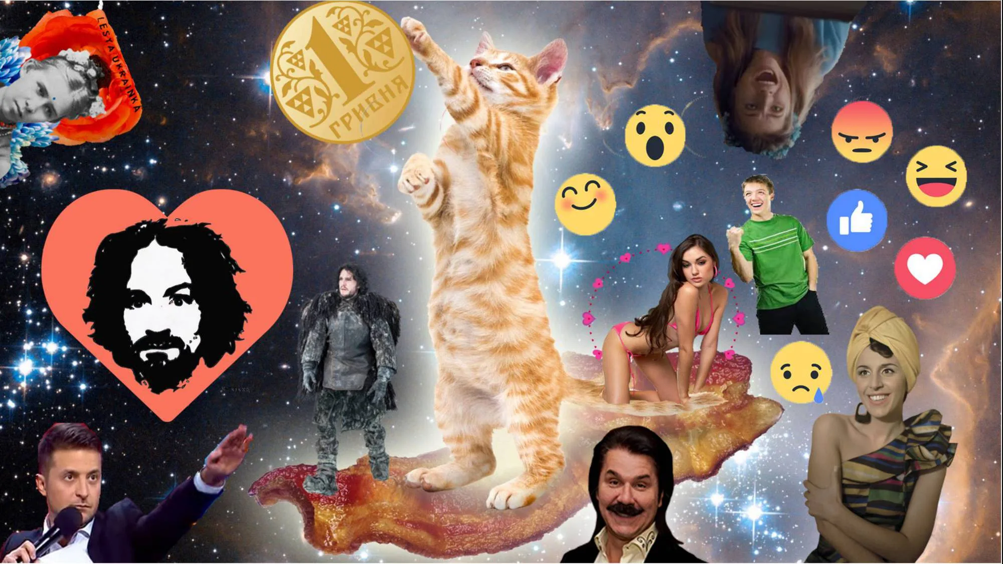 Котик любит новости
