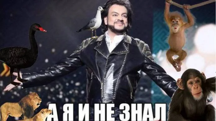 Животные часто экспериментируют в сексе