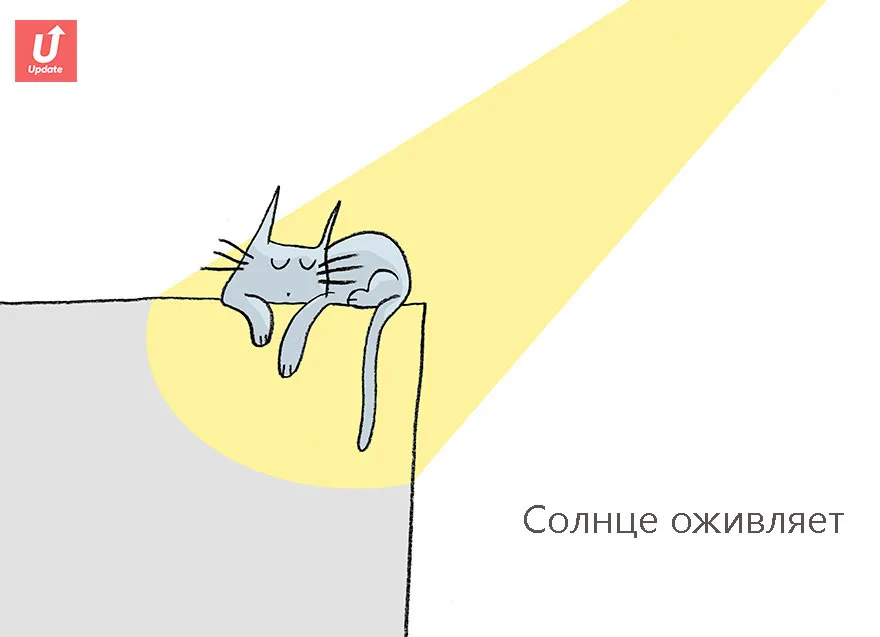 Коты учат жить