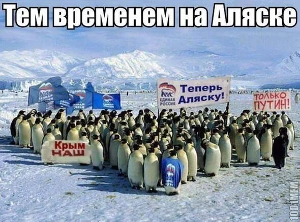 Видео дня: автор песни о Путине сняла клип о непобедимом русском рубле