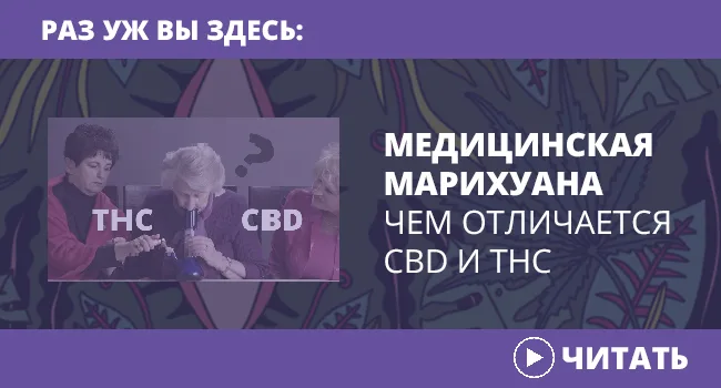 4 факта о марихуановом похмелье, которые спасут ваше утро
