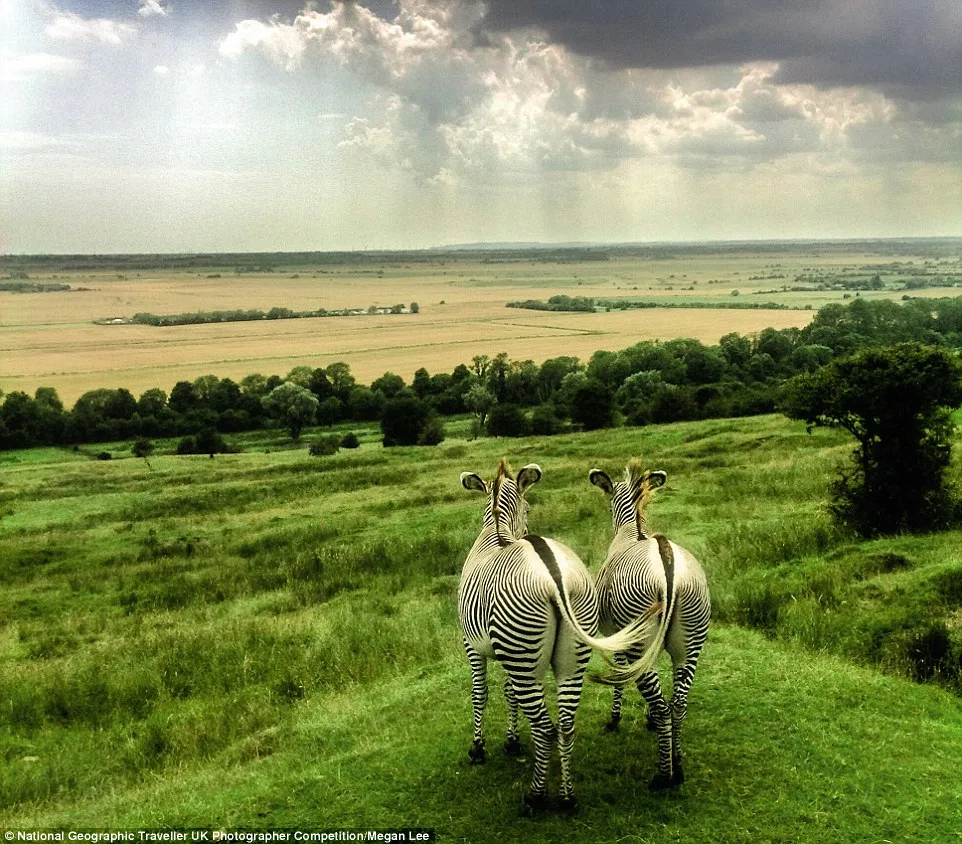 Финалисты фотоконкурса от National Geographic шокировали жюри